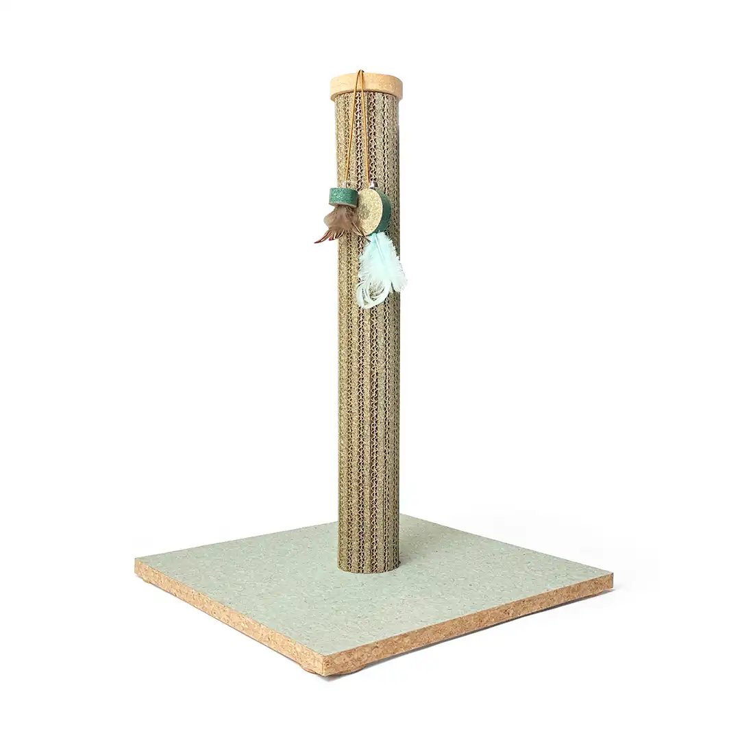 product-pics